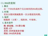 人教版新课标高中生物选修一 同步课件5.2多聚酶链式反应扩增DNA片断 课件