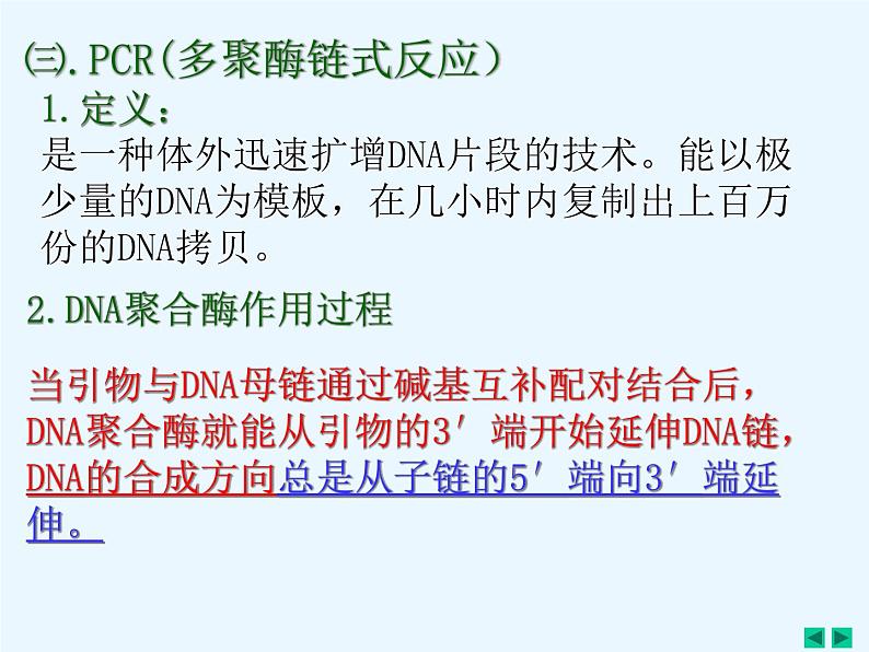 人教版新课标高中生物选修一 同步课件5.2多聚酶链式反应扩增DNA片断 课件08