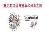 人教版新课标高中生物选修一 同步课件5.3血红蛋白的提取和分离 课件