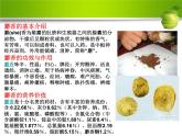人教版新课标高中生物选修一 同步课件6.1植物芳香油的提取 课件