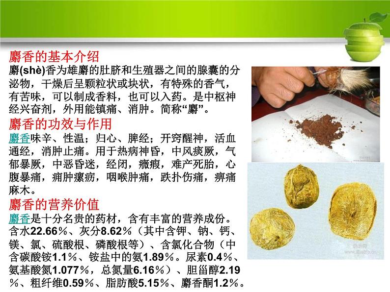 人教版高二生物选修一6.1植物芳香油的提取(共44张PPT)第5页