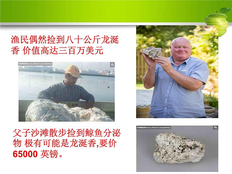 人教版高二生物选修一6.1植物芳香油的提取(共44张PPT)第6页