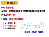 人教版新课标高中生物选修一 同步课件6.2 胡萝卜素的提取  课件