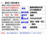 人教版（新课程标准）高二下学期生物选修三 1.1DNA重组技术的基本工具 课件