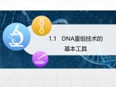 人教版（新课程标准）高二下学期生物选修三 1.1DNA重组技术的基本工具 课件