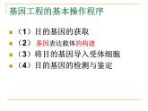 人教版（新课程标准）高二下学期生物选修三 1.2--基因工程的基本操作程序 课件