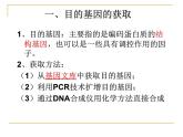 人教版（新课程标准）高二下学期生物选修三 1.2--基因工程的基本操作程序 课件