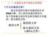 人教版（新课程标准）高二下学期生物选修三 1.2--基因工程的基本操作程序 课件