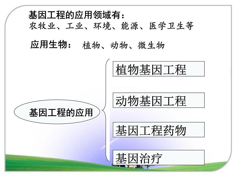 人教版（新课程标准）高二下学期生物选修三 1.3基因工程的应用 课件02