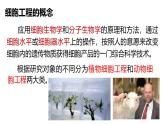 人教版（新课程标准）高二下学期生物选修三 3  2.1植物细胞工程 课件