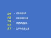 人教版（新课程标准）高二下学期生物选修三 专题2 细胞工程_2.2 动物细胞工程动物细胞培养和核移植技术 课件