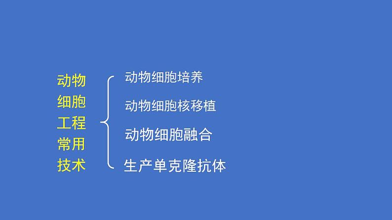 人教版（新课程标准）高二下学期生物选修三 专题2 细胞工程_2.2 动物细胞工程动物细胞培养和核移植技术 课件04