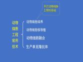 人教版（新课程标准）高二下学期生物选修三 专题2 细胞工程_2.2 动物细胞工程动物细胞培养和核移植技术 课件