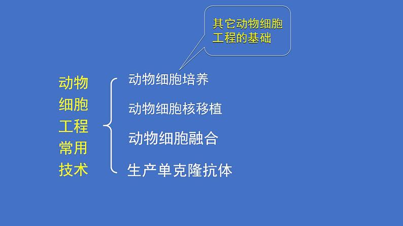 人教版（新课程标准）高二下学期生物选修三 专题2 细胞工程_2.2 动物细胞工程动物细胞培养和核移植技术 课件05