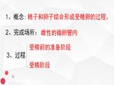 人教版（新课程标准）高二下学期生物选修三 3.1体内受精和早期胚胎发育 课件