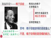 人教版（新课程标准）高二下学期生物选修三 3.1体内受精和早期胚胎发育 课件