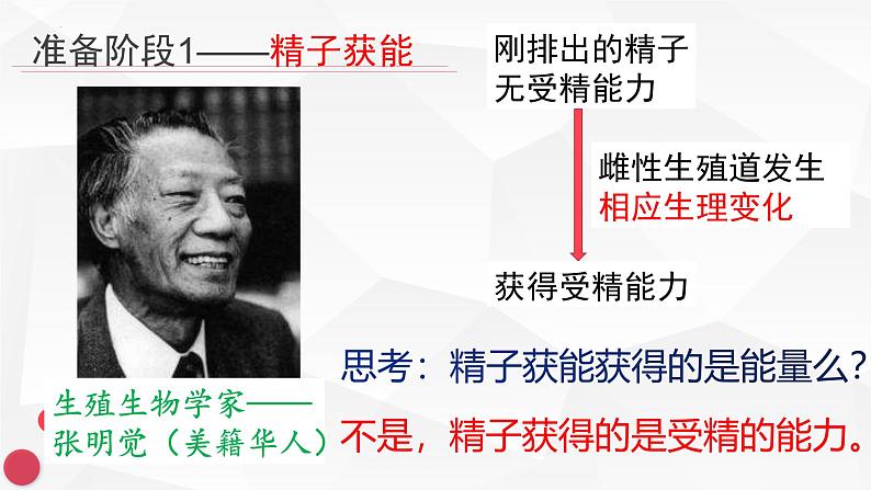 3.1体内受精和早期胚胎发育课件2021-2022学年高二下学期生物人教版选修3第4页