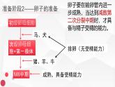 人教版（新课程标准）高二下学期生物选修三 3.1体内受精和早期胚胎发育 课件