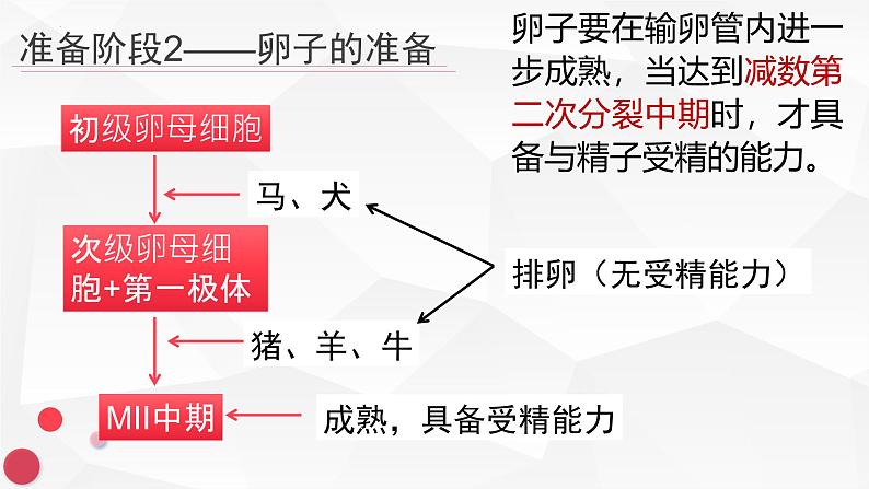 3.1体内受精和早期胚胎发育课件2021-2022学年高二下学期生物人教版选修3第5页