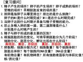 人教版（新课程标准）高二下学期生物选修三 专题3体外受精和早期胚胎培养 课件