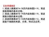 人教版（新课程标准）高二下学期生物选修三 3  3.3胚胎工程的应用及前景 课件