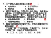 人教版（新课程标准）高二下学期生物选修三 3  3.3胚胎工程的应用及前景 课件
