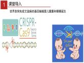 人教版（新课程标准）高二下学期生物选修三 4.1转基因产品的安全性 课件