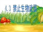 人教版（新课程标准）高二下学期生物选修三 专题4第3节禁止生物武器 课件