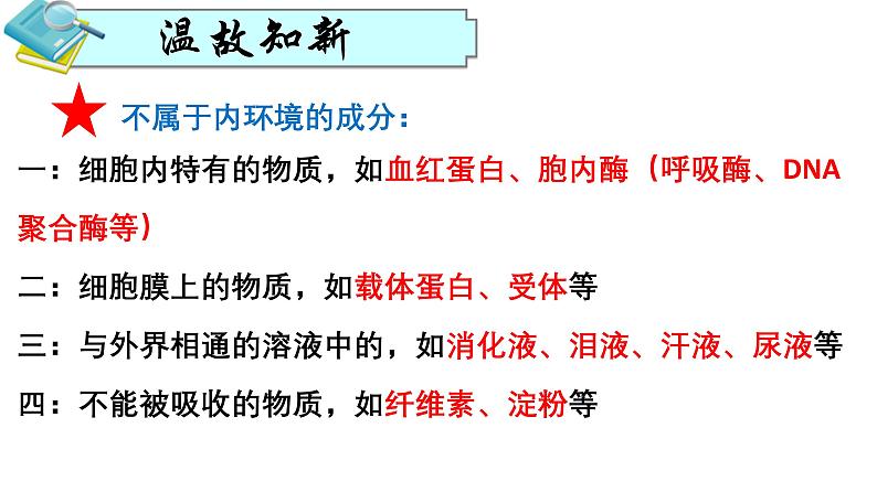 人教版生物高二上学期必修三  1.1细胞生活的环境 课件04