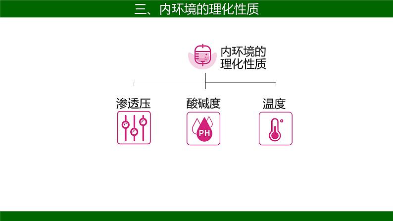 人教版生物高二上学期必修三  1.1细胞生活的环境 课件08