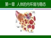 人教版生物高二上学期必修三  1.1细胞生活的环境 课件