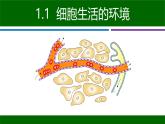人教版生物高二上学期必修三  1.1细胞生活的环境 课件