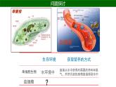 人教版生物高二上学期必修三  1.1细胞生活的环境 课件