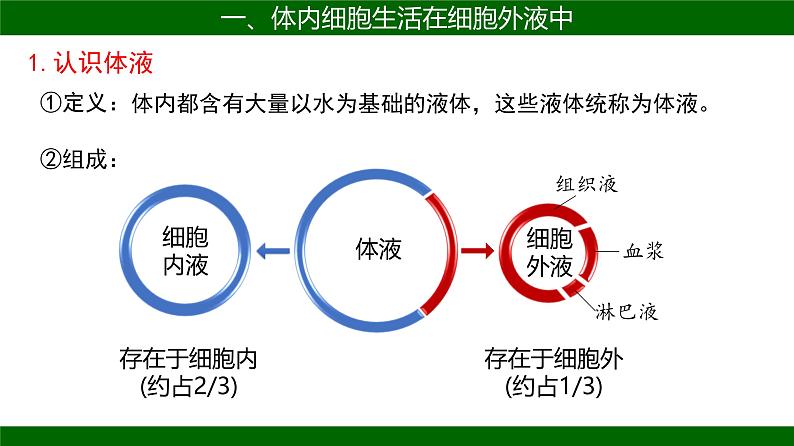 人教版生物高二上学期必修三  1.1细胞生活的环境 课件06