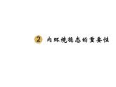 人教版生物高二上学期必修三 1.2内环境稳态的重要性 课件