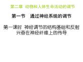 人教版生物高二上学期必修三 2.1通过神经系统的调节第1课时 课件