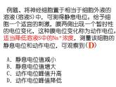 人教版生物高二上学期必修三 2.1通过神经系统的调节第2课时 课件