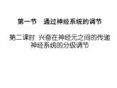 人教版生物高二上学期必修三 2.1通过神经系统的调节第2课时 课件