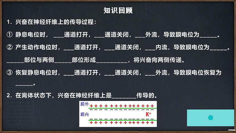 人教版生物高二上学期必修三 2.2通过激素的调节 课件01