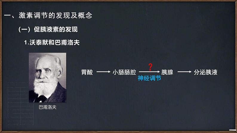 人教版生物高二上学期必修三 2.2通过激素的调节 课件04