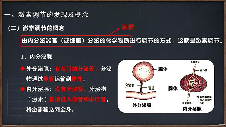 人教版生物高二上学期必修三 2.2通过激素的调节 课件06