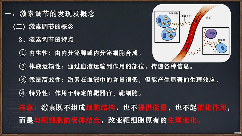 人教版生物高二上学期必修三 2.2通过激素的调节 课件08