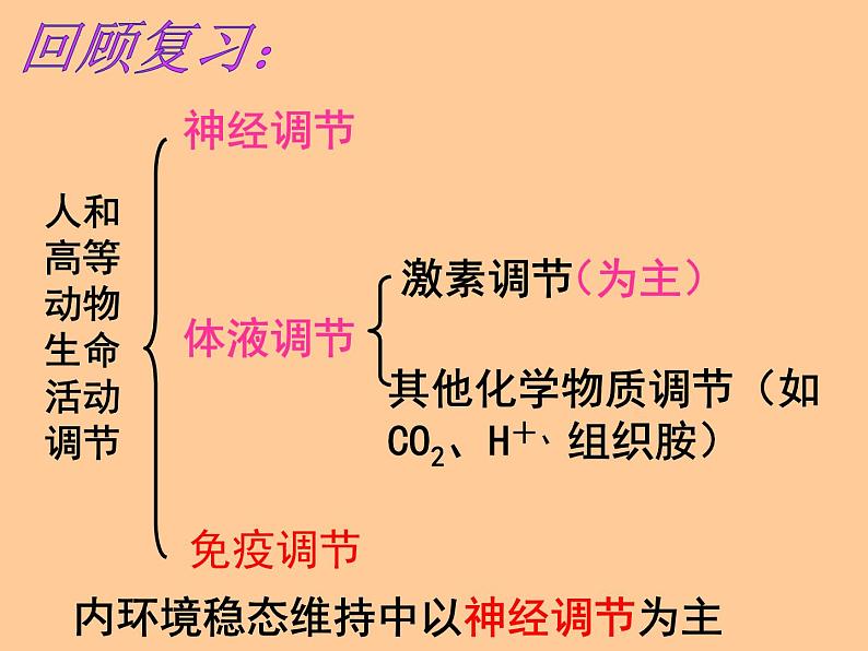 人教版生物高二上学期必修三 2.3神经调节与体液调节的关系 课件01