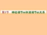 人教版生物高二上学期必修三 2.3神经调节与体液调节的关系 课件