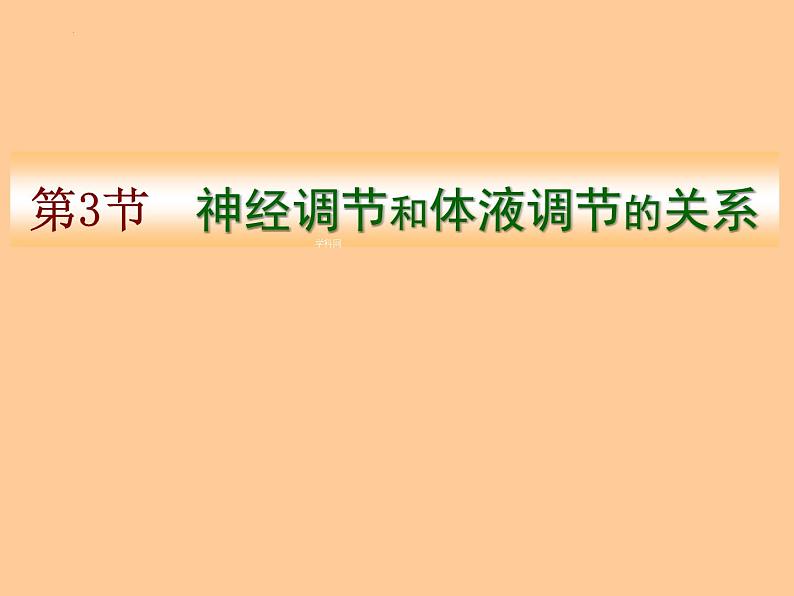 人教版生物高二上学期必修三 2.3神经调节与体液调节的关系 课件04