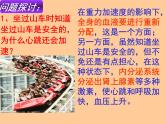 人教版生物高二上学期必修三 2.3神经调节与体液调节的关系 课件