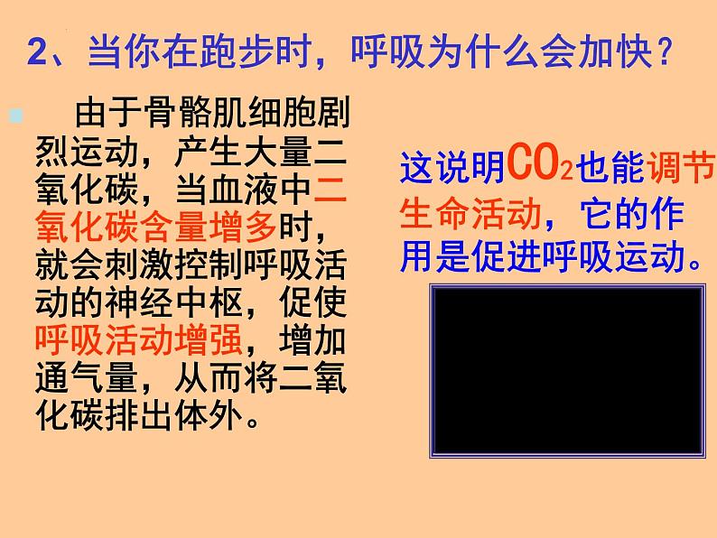 人教版生物高二上学期必修三 2.3神经调节与体液调节的关系 课件07