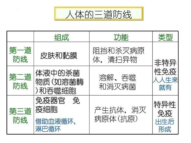 人教版生物高二上学期必修三 2.4免疫调节 课件08