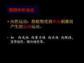 人教版生物高二上学期必修三 3.1植物生长素的发现 课件