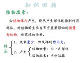 人教版生物高二上学期必修三 3.3其他植物激素 课件
